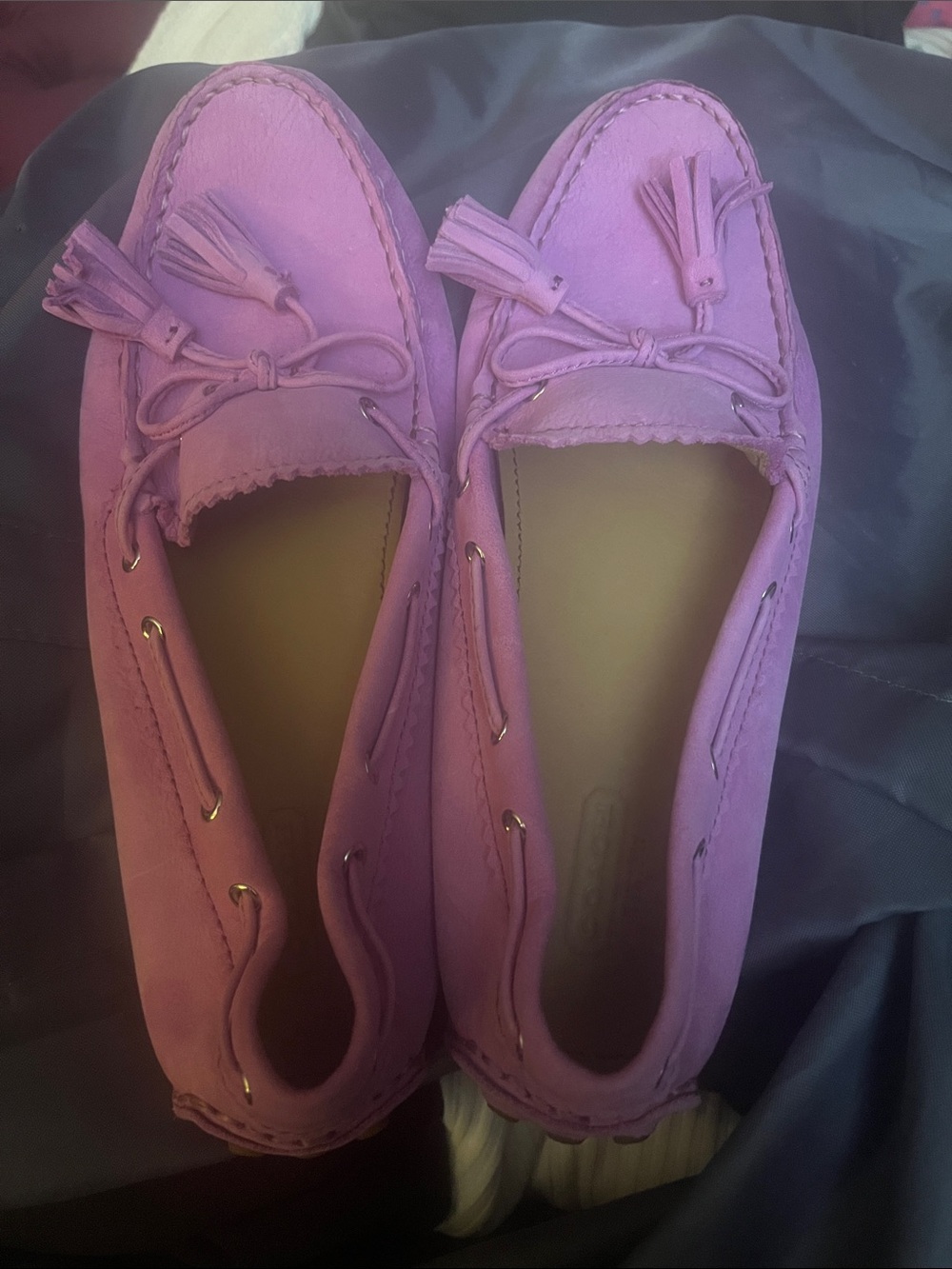 Coach Nadia Nubuck Driving Loafer Moccasins in Lilac Blush
